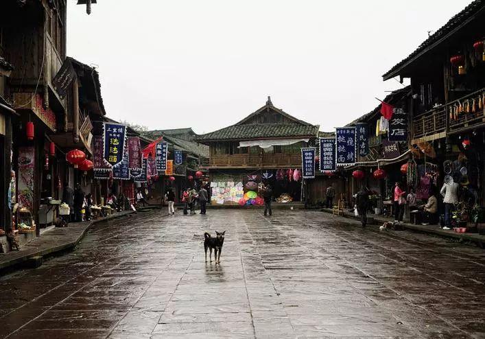 史上最贱小游戏之网络